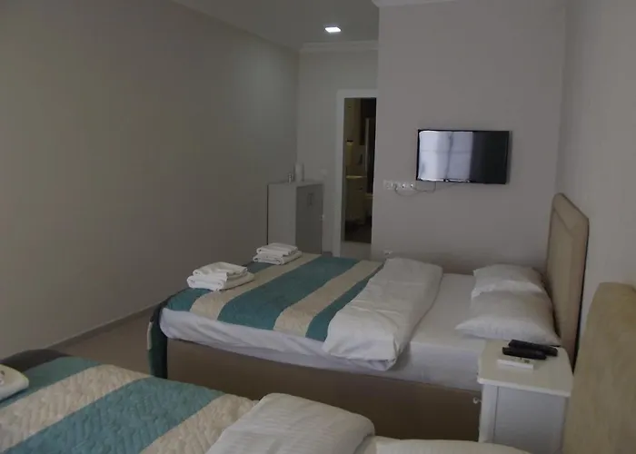 萨特雷区套房公寓 *