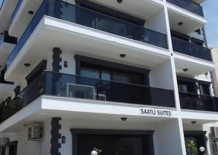 萨特雷区套房公寓