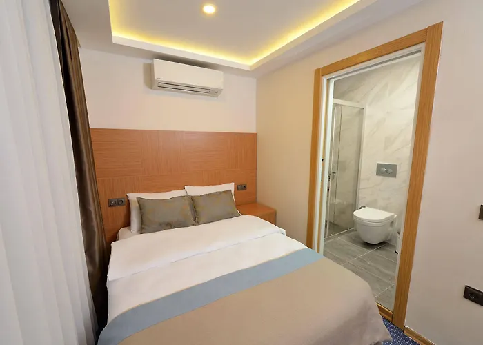 萨特雷区套房公寓